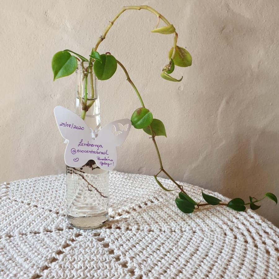 Cantinho Do Ceu - Espaco Ecologico 상페드루 외부 사진