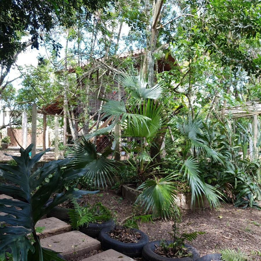 Cantinho Do Ceu - Espaco Ecologico 상페드루 외부 사진