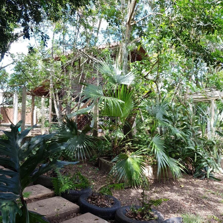 Cantinho Do Ceu - Espaco Ecologico 상페드루 외부 사진